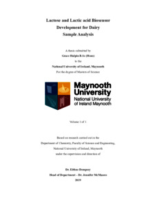 maynooth university thesis submission